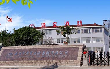 鴻寶