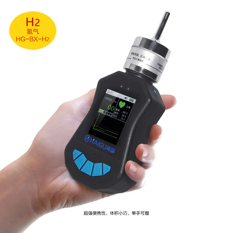 海固HG-BX-H2氫氣泵吸式氣體檢測(cè)儀圖片2
