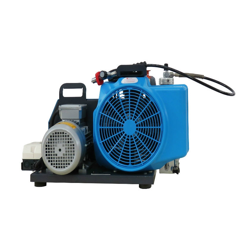 梅思安10181241空氣壓縮機(jī)MSA100TE三相電機(jī)充氣泵圖片1