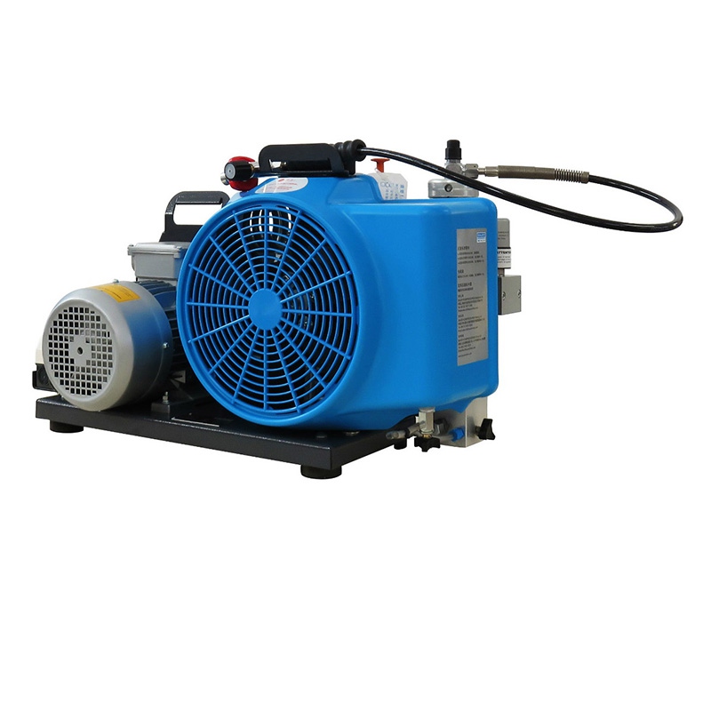 梅思安10181241空氣壓縮機(jī)MSA100TE三相電機(jī)充氣泵圖片2