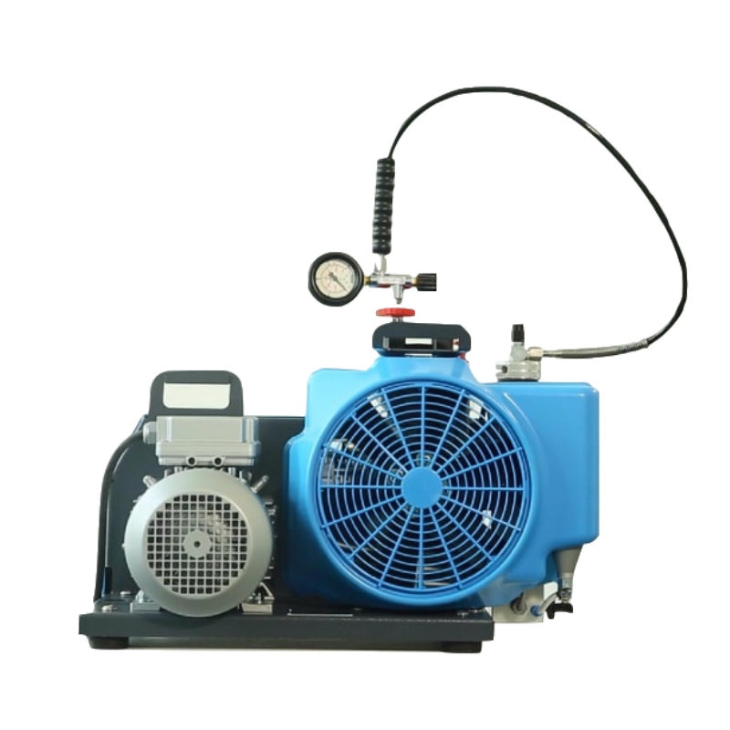 梅思安10181242空氣壓縮機MSA100TW單相電機充氣泵圖片2