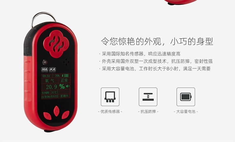保時(shí)安CYH25氧氣測定器圖片3