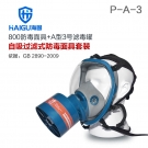海固HG-800 P-A-3防甲醛 醇類(lèi)綜合防有機(jī)氣體防毒面具