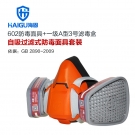 海固HG-602 P-A-1半面罩有機(jī)氣體防毒面具
