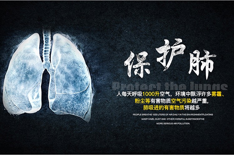 普達(dá)FD-410自吸過濾式防毒面具套裝圖片2