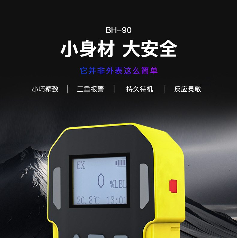 保時安BH-90便攜式擴(kuò)散式單一氣體檢測儀1.jpg