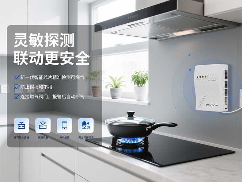 保時(shí)安BH-H5家用可燃?xì)怏w探測器2.jpg