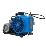 梅思安10181242空氣壓縮機(jī)MSA100TW單相電機(jī)充氣泵