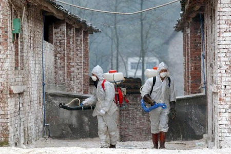H7N9禽流感預(yù)防個人防護